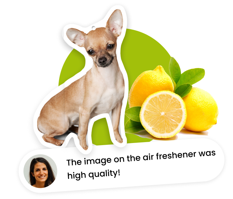 Custom Face Air Fresheners For Your Car Make My Freshener